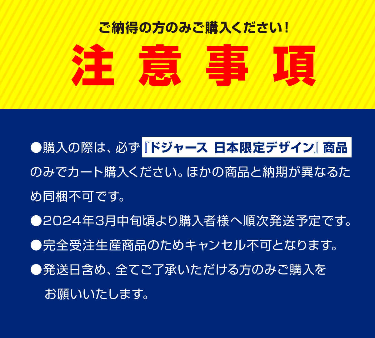 【ドジャース 日本限定デザイン】SHOHEI OHTANI「BACK SHOT【LAD】」ブランケット　※2024年3月中旬より順次発送※